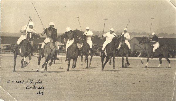 ao-thun-polo.jpg