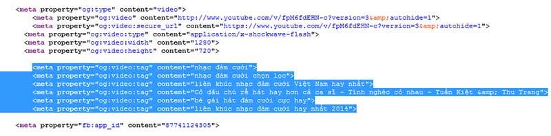cach-tim-meta-tags-cua-mot-video-bat-ky-mttags.jpg