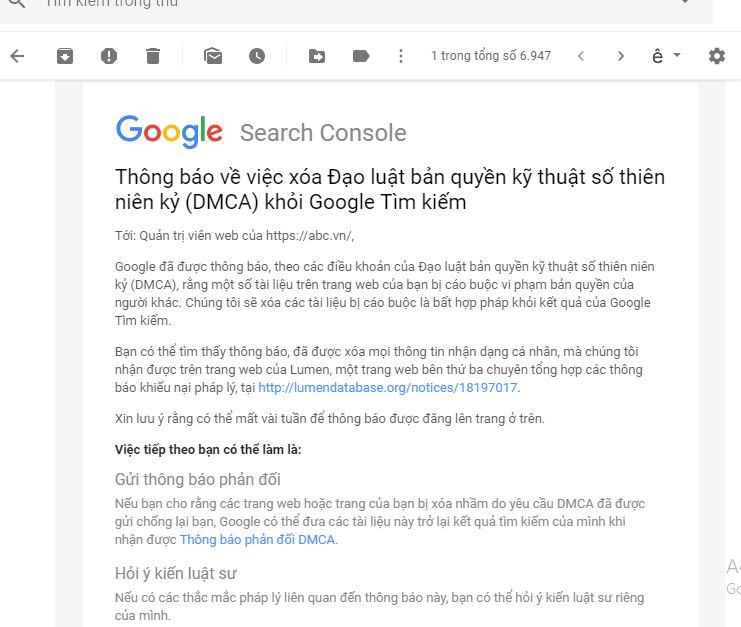 dmca.jpg