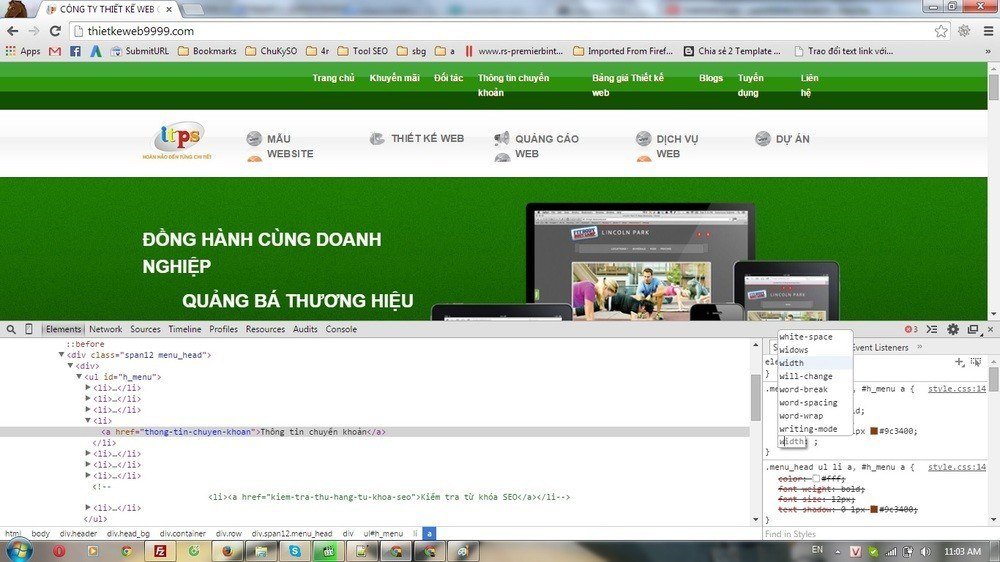 fix-css-chrome-3.jpg