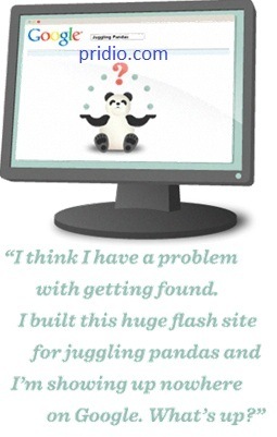 flash-va-google-panda1.jpg