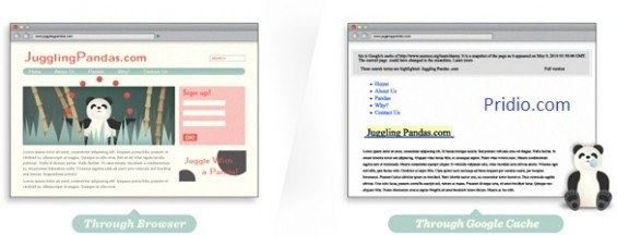 google-cache-565x216.jpg