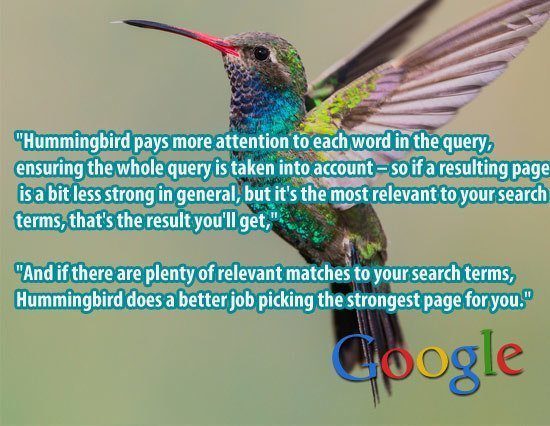 Google-HummingBird.jpg