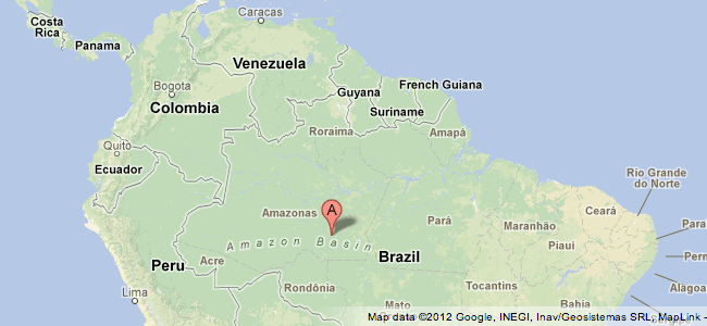 google-maps-duoc-tan-trang-6.png