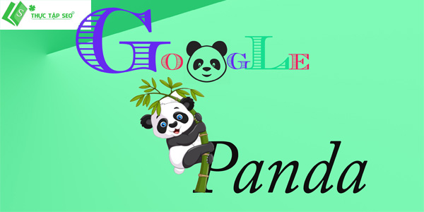 google-panda.jpg