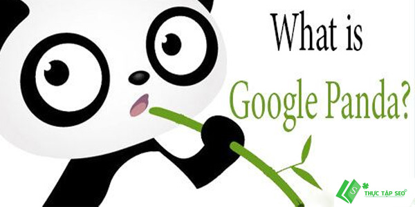 google-panda-la-gi.jpg