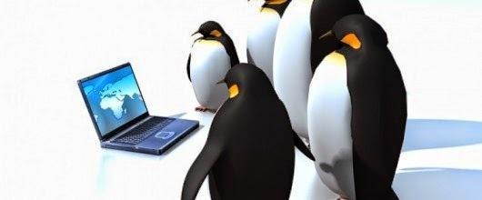 google-pengiun.jpg
