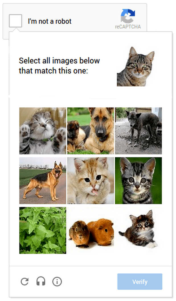 google-vinh-biet-captcha.png