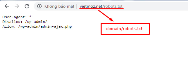 kiem-tra-file-robots-txt.jpg