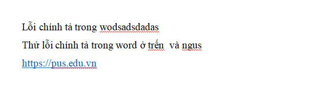 loi-chinh-ta-trong-word.jpg