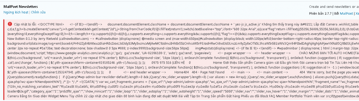 lỗi code.png