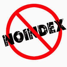 noindex.jpg