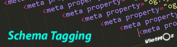 Schema-Tagging.jpg