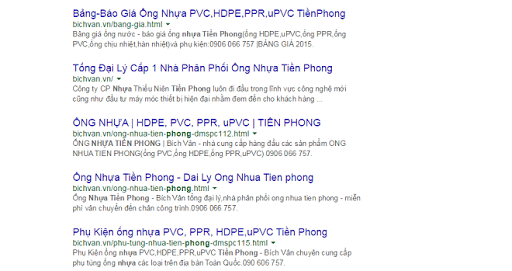seo%2Btrum.png