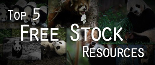 Stock-resources1.jpg