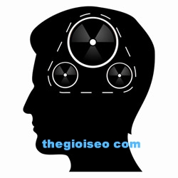 thegioiseo-9899gy.jpg