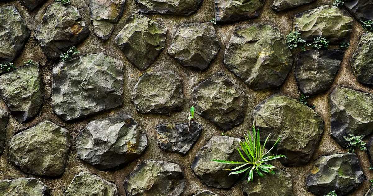 Untitled-1-1520x800.jpg
