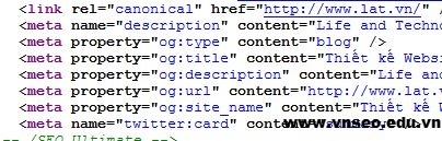vnseo.edu.vn-the-meta-rel-canonical.jpg