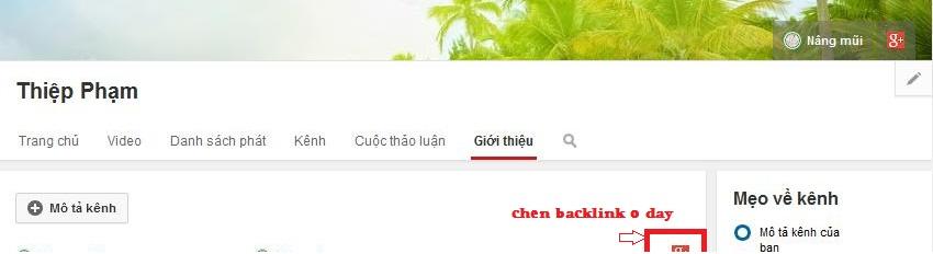 youtube.jpg