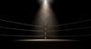 boxing-ring-fight-ss-1920-800x432.jpg