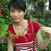 dothihai