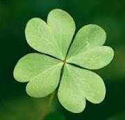 CloverSpring