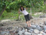 ntthuthuy