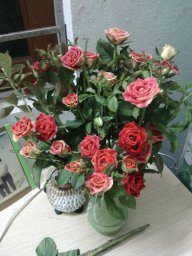 nguyenhien_cameramienbac