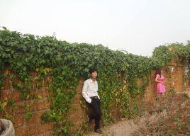 nguyenkien