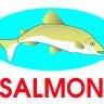 salmonscale