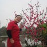 dohaithanh