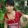dothihai