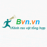 Bvn