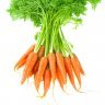 carotngon