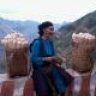 hagiangt
