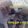 Cường_Đập_Chai