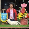 ittranhoai