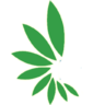 sannhidiamond