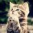 antony_hg