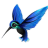 quocvuongit