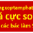 bactam