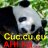 cuccucu